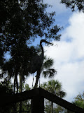 Another one of the "king of the nest"