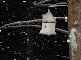 I don't think the birds are home.
