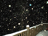The snow was starting to pick up.
