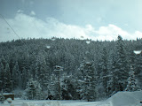 Looking back up the hill.