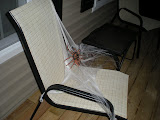 Giant spider on the chair with some more webbing.