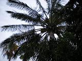 DSCN0672.JPG