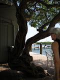 DSCN0683.JPG