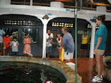 At the aquarium catching sharks.