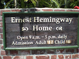 DSCN0736.JPG