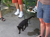 DSCN0752.JPG