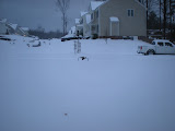 DSCN0909.JPG