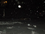 DSCN0940.JPG