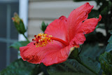 DSC_0037.JPG