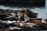 DSC_0068.JPG
