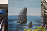 DSC_0075.JPG