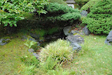DSC_0006.JPG