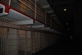 DSC_0105.JPG