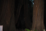 DSC_0212.JPG