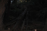 DSC_0213.JPG