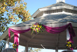 DSC_0221.JPG