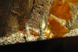 DSC_0364.JPG