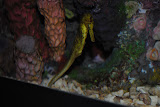 DSC_0365.JPG