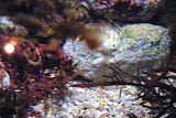 DSC_0369.JPG