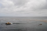 DSC_0377.JPG