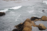 DSC_0423.JPG