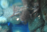 DSC_0462.JPG