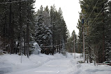 DSC_0044.JPG