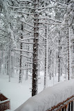 DSC_0083.JPG