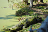 DSC_0047.JPG