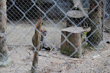 DSC_0080.JPG