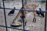 DSC_0094.JPG