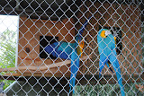 DSC_0097.JPG