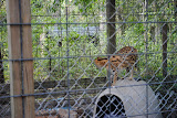 DSC_0098.JPG