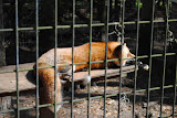 DSC_0110.JPG
