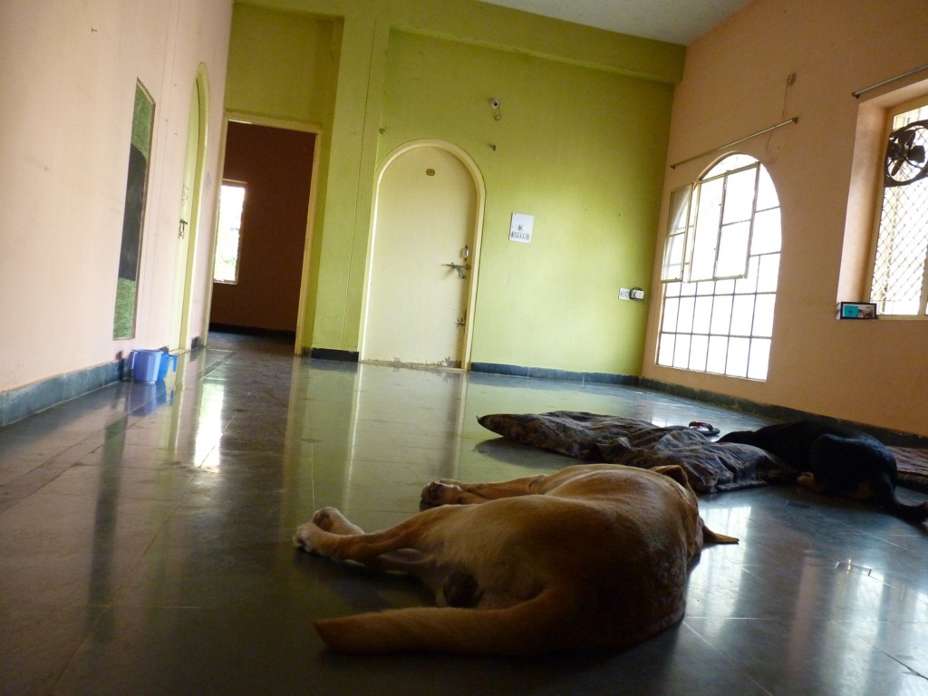 [P10207475.jpg]