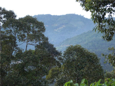 balik pulau penang - balik pulau pulau pinang