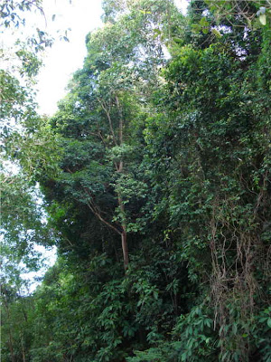 Penang National Park - Taman Negara Pulau Pinang