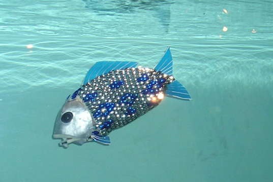 [roboticfish-5[10].jpg]
