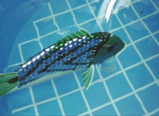 [roboticfish-3[4].jpg]