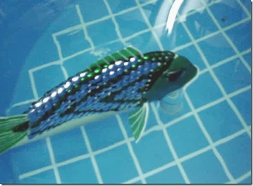 roboticfish-3
