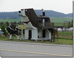 köpek otel