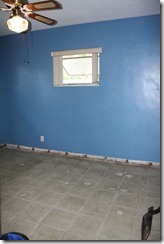 IMG_5308 IMG_5308