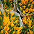 DSC_2721.jpg, Amsterdam, Netherlands