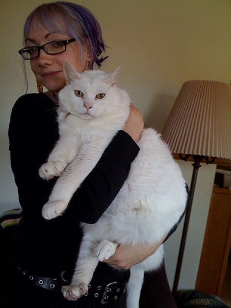 [fat_cats_34[2].jpg]