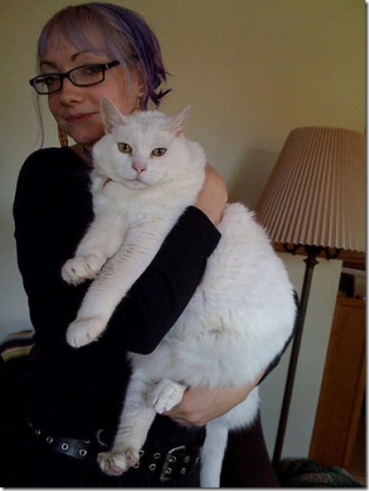 fat_cats_34