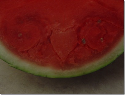 summer 2009 126