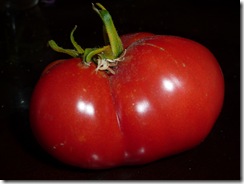 season's first tomato