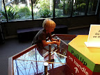 Learning how difficult it would be to escape from the tar pits.