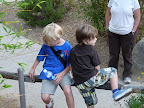 After a while, we realized that the adults were more into the elephants.