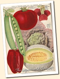 Salzer veggies Salzer veggies